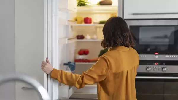Последовательность мытья холодильника