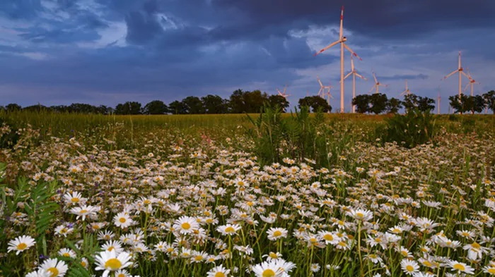 Германия установила рекорд по производству «зеленой» электроэнергии
